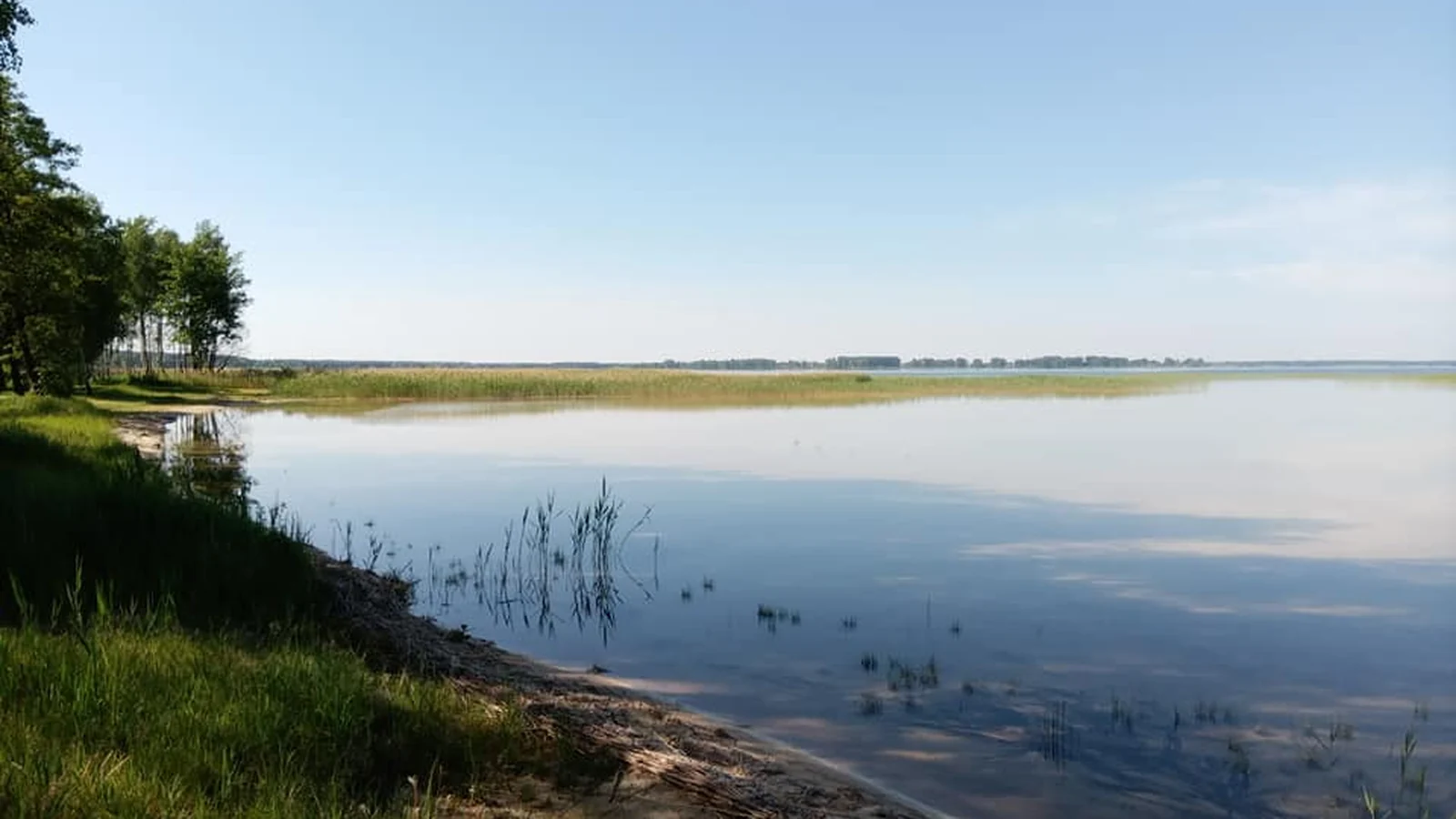 Тихий берег і мілководдя Шацьких озер